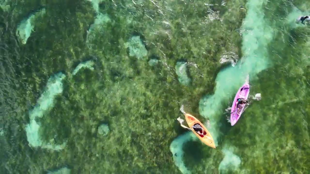 Cebu South 2025 Getaway #drone #walalanggud #travel 