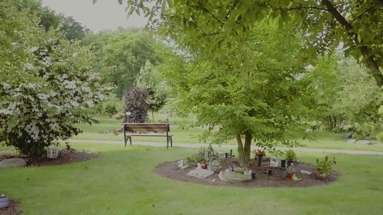 Friedhof Rellingen Baumpark 2021