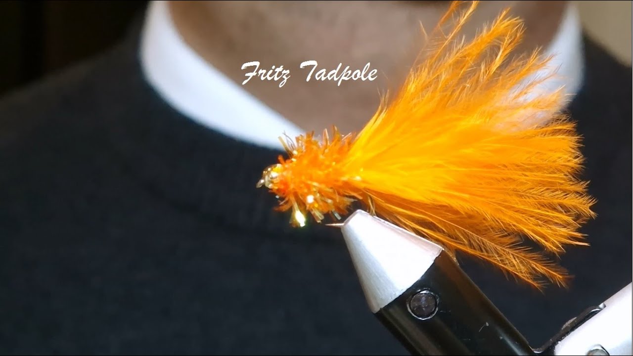 Fritz Tadpole