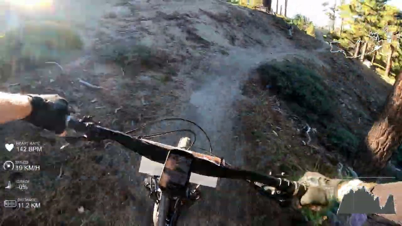 Big Bear Grizzly 50km Mountainbike Race 2023