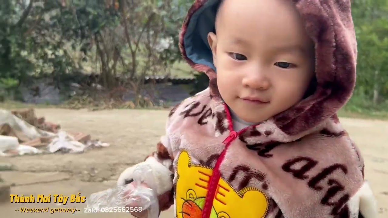 Lý Do Tại Sao, Một Thời Gian Thành Không Ra Video _Thành Mai Tây Bắc