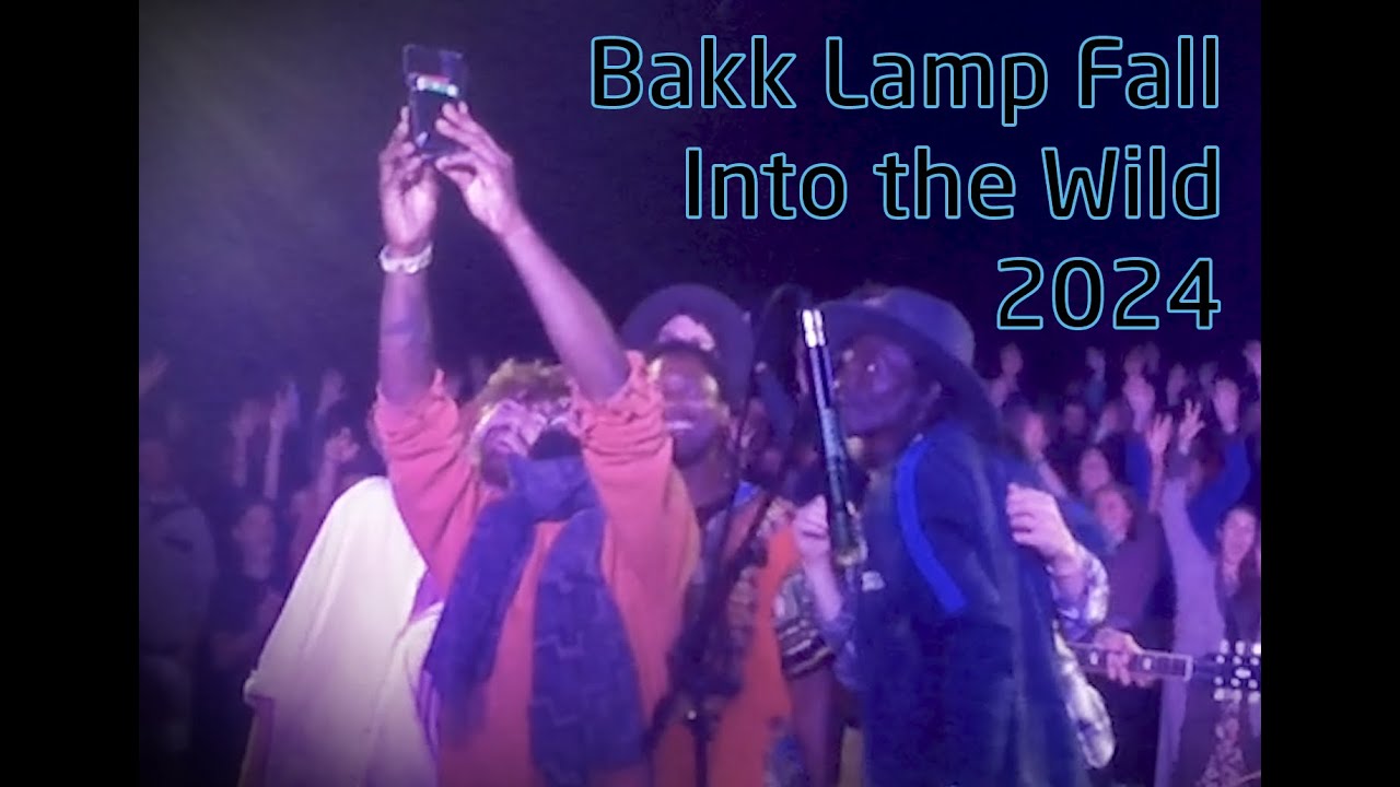 Bakk Lamp Fall - Live at Into the Wild Festival - 2024