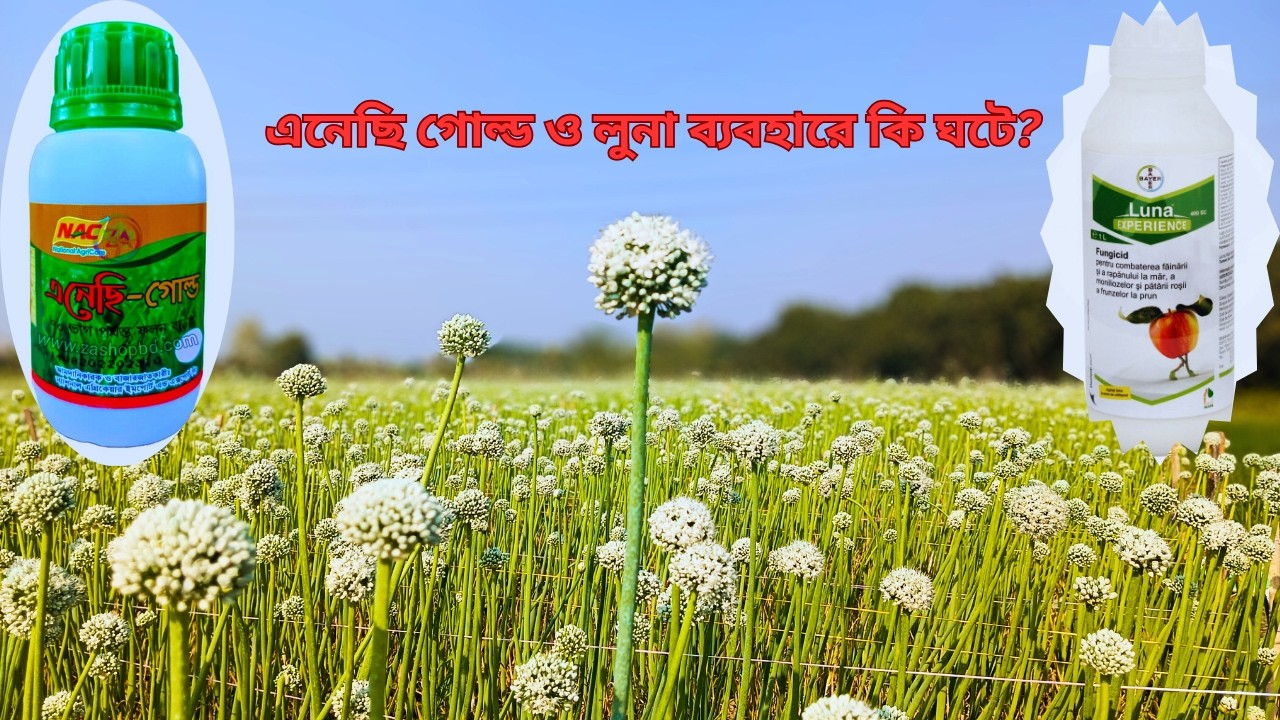 কদম জমিতে ঔষধ ব্যবহারের MIND-BLOWING রহস্য! #farming #agricultureindia #garden