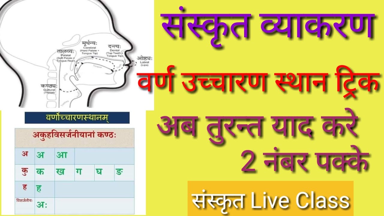 संस्कृत वर्ण उच्चारण स्थान | संस्कृत वर्ण ट्रिक | संस्कृत व्याकरण | Sanskrit Varn uccharan |