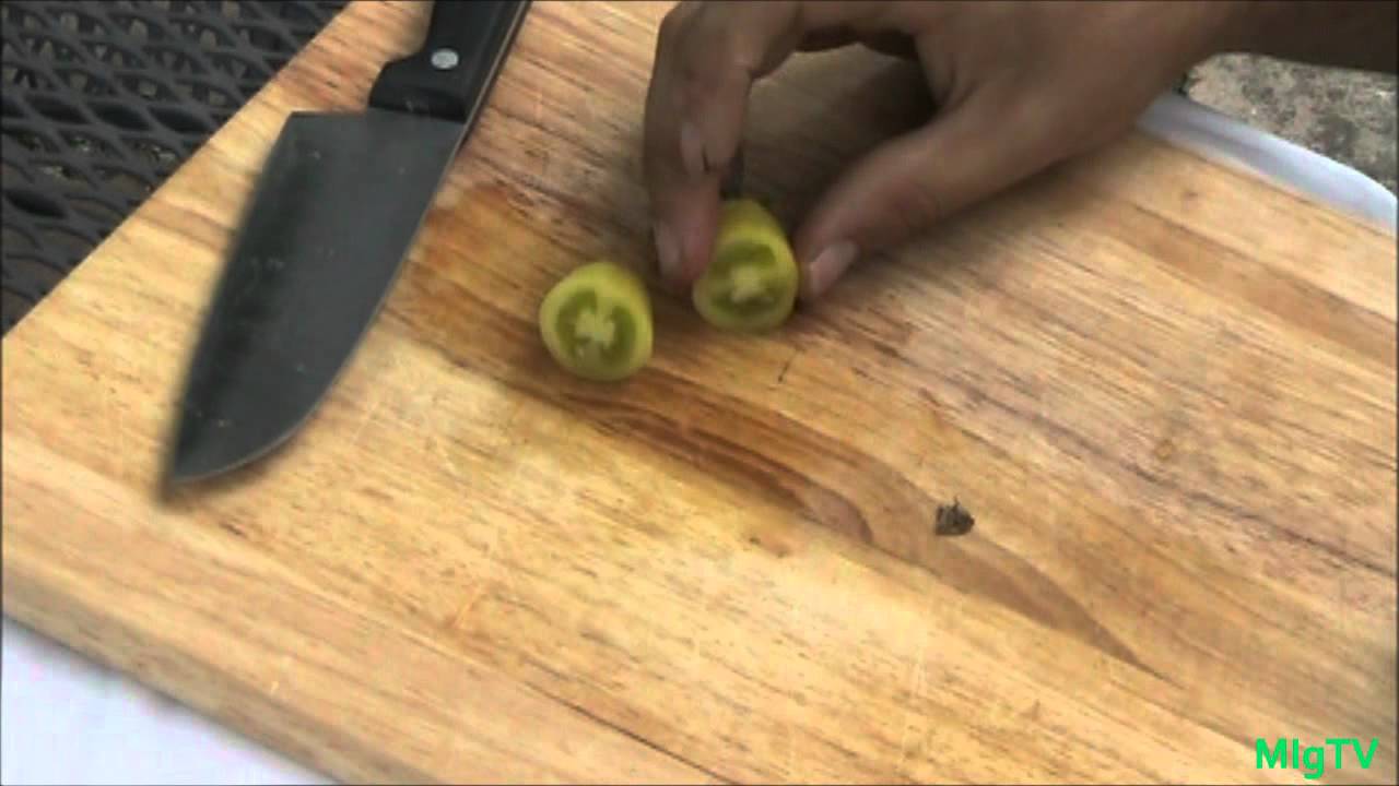 The MIgardener Heirloom Tomato Taste Test