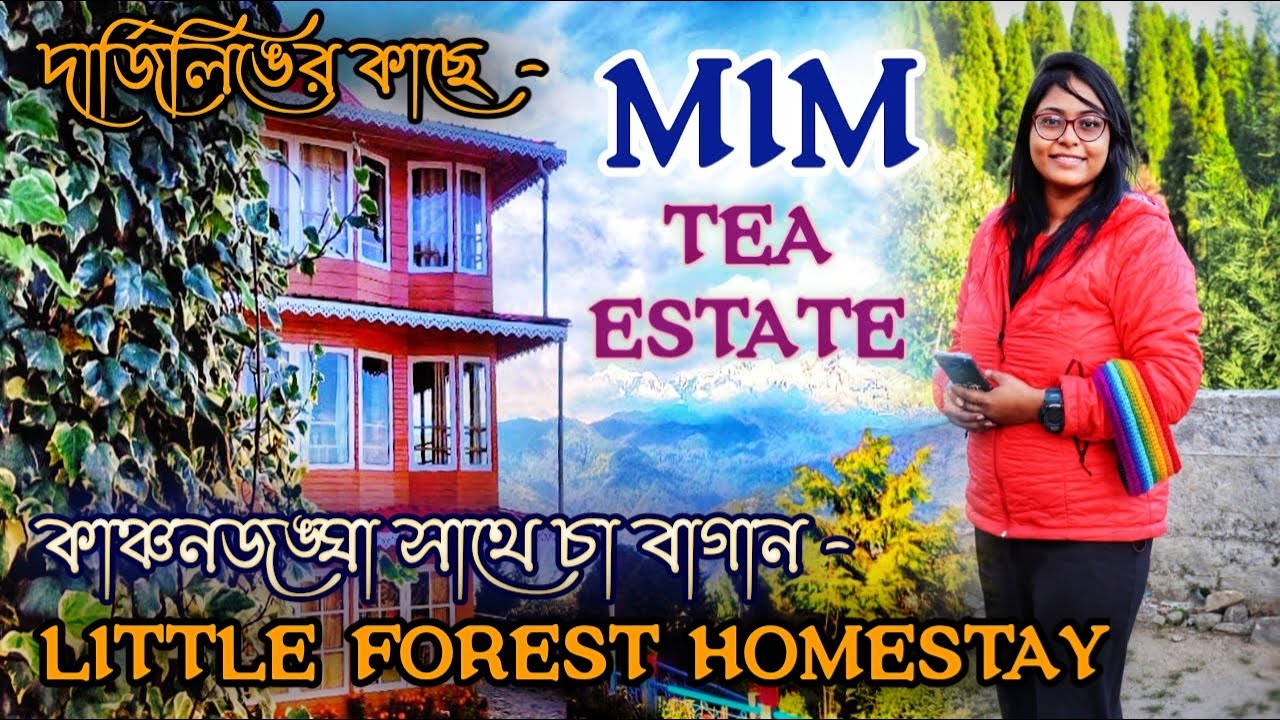 দার্জিলিঙের MIM TEA ESTATE - Little Forest Homestay | Offbeat Darjeeling I Budget Weekend Gateway