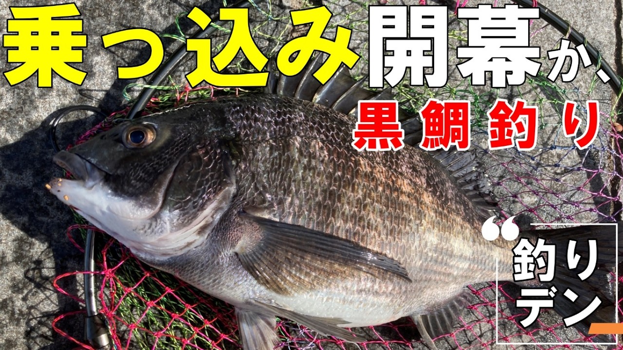 黒鯛「ヘチ釣り」乗っ込み開幕か！