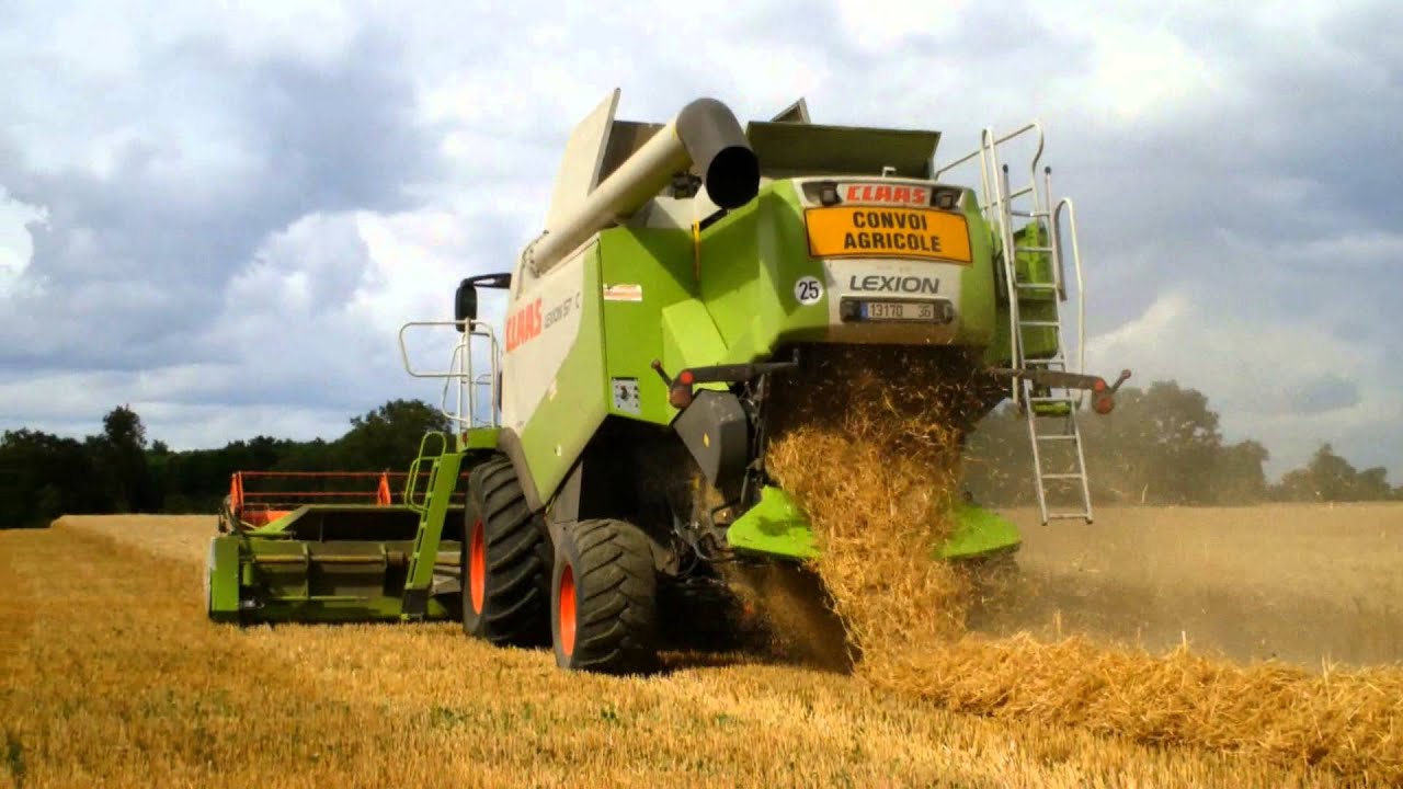 Moisson blé 2013 Harvrest in france