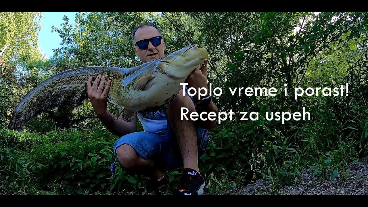Ko se šunja iza žbunja? - Varalicarenje soma