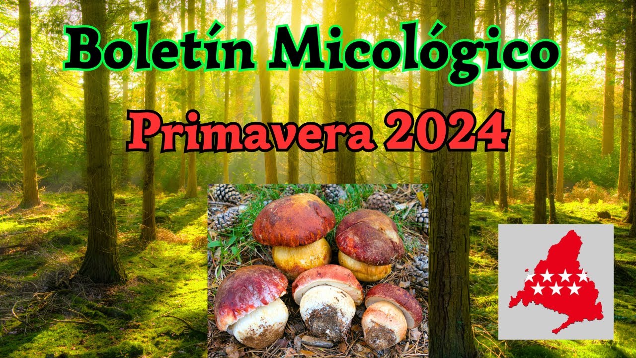 Boletín MICOLÓGICO y Meteorológico | PRIMAVERA 2024 | Sierra de GUADARRAMA