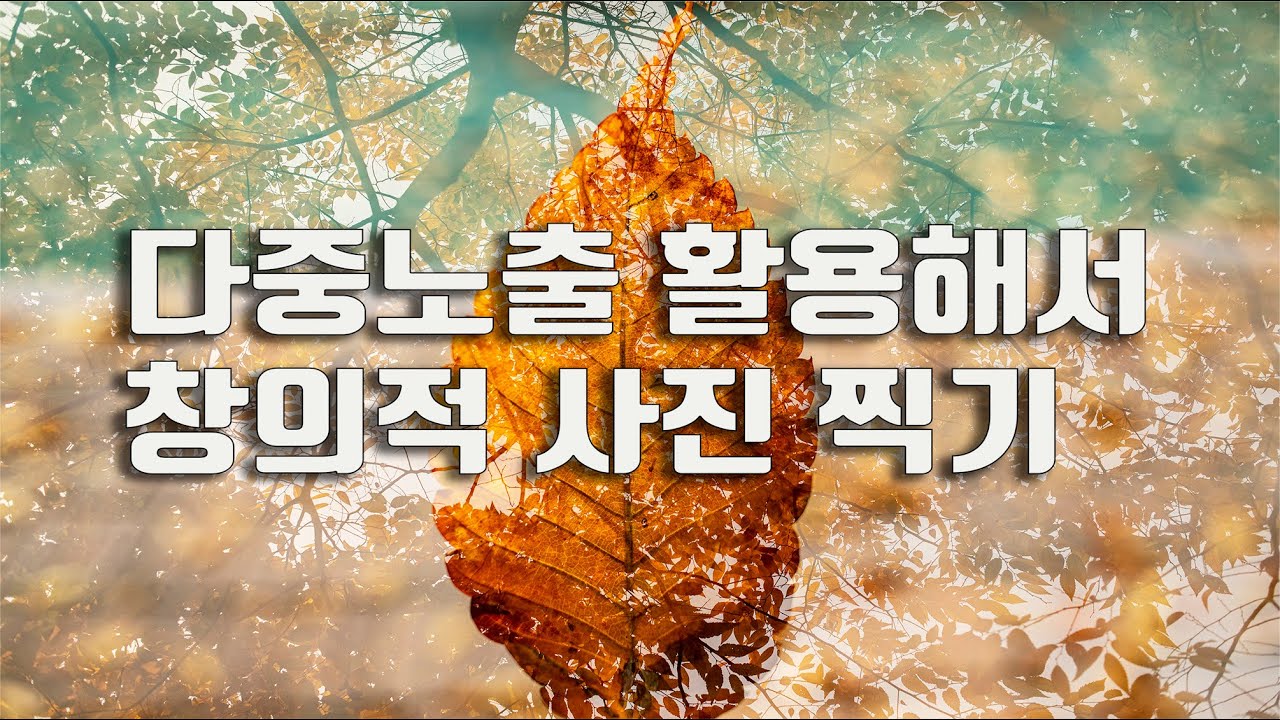 다중노출 기법으로 창의적인 단풍사진 찍기 / 다중노출 촬영법 / 가을사진 잘 찍는법 / 창의적인 사진찍기 / 사진강좌
