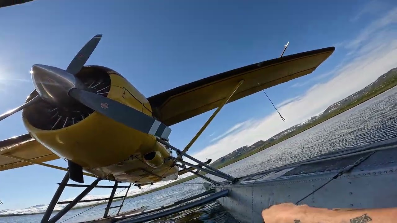 Docking a DHC-2 Beaver in the Bush of Alaska Grizzly Bear safari