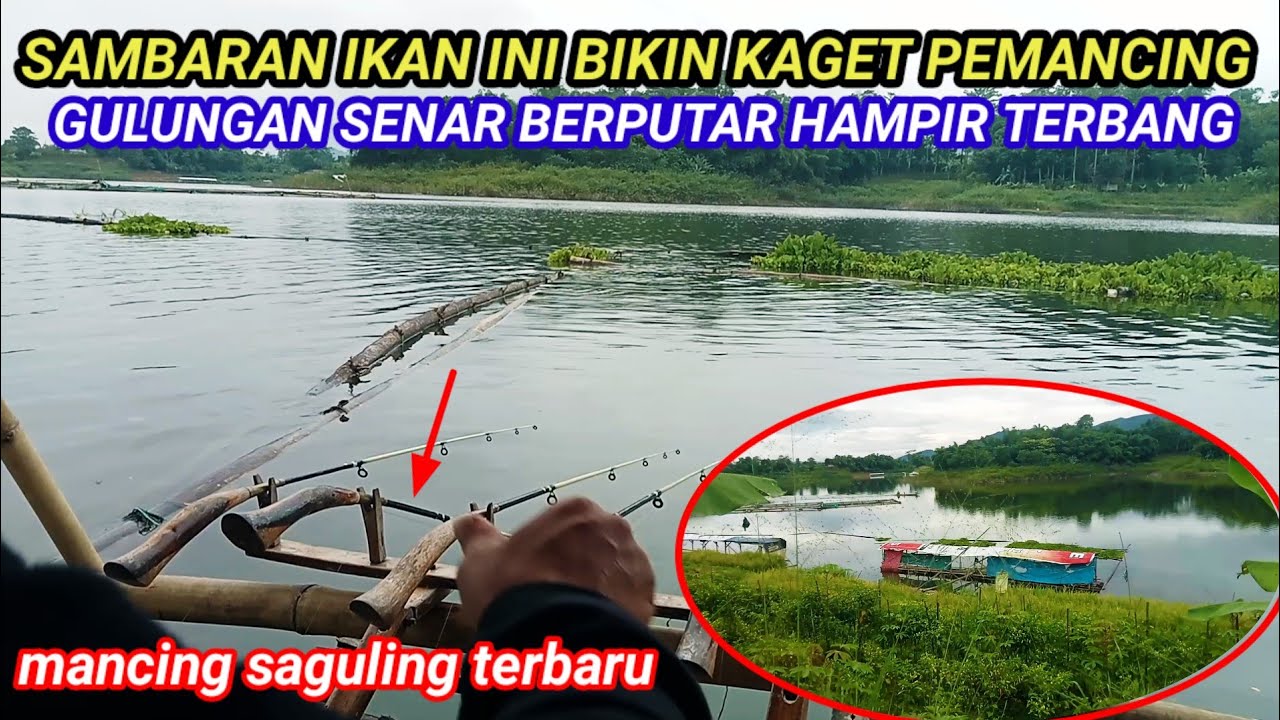 SAMBARAN IKAN INI BIKIN KAGET GULUNGAN BENANG HAMPIR TERBANG || MANCING SAGULING TERBARU 2026