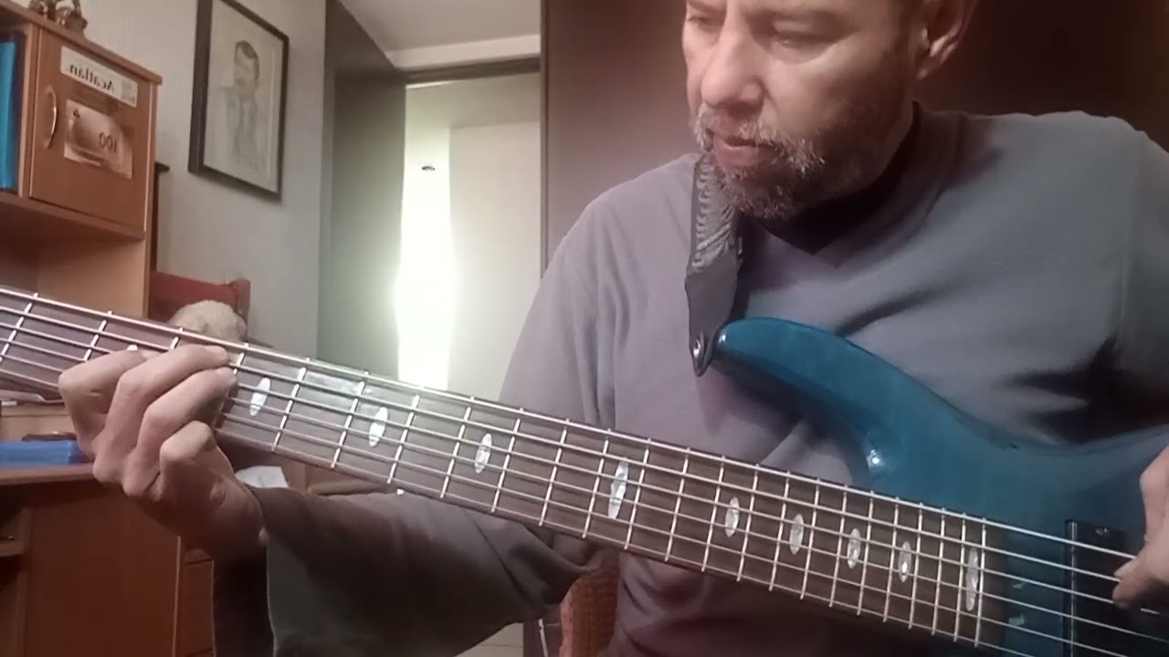 Enjambre - Somos ajenos - Bass cover