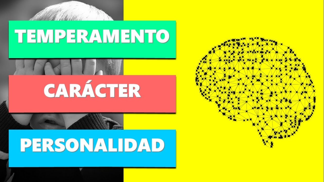 Diferencias entre Temperamento, Car&aacute;cter y Personalidad | Psicolog&iacute;a