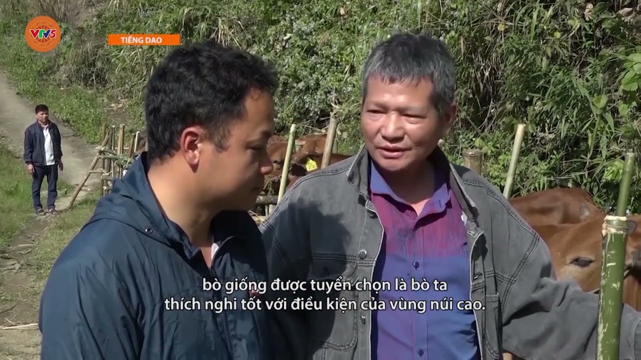 [TIẾNG DAO] DU LỊCH LÀO CAI - TÍN HIỆU VUI NGAY TỪ ĐẦU NĂM | VTV5