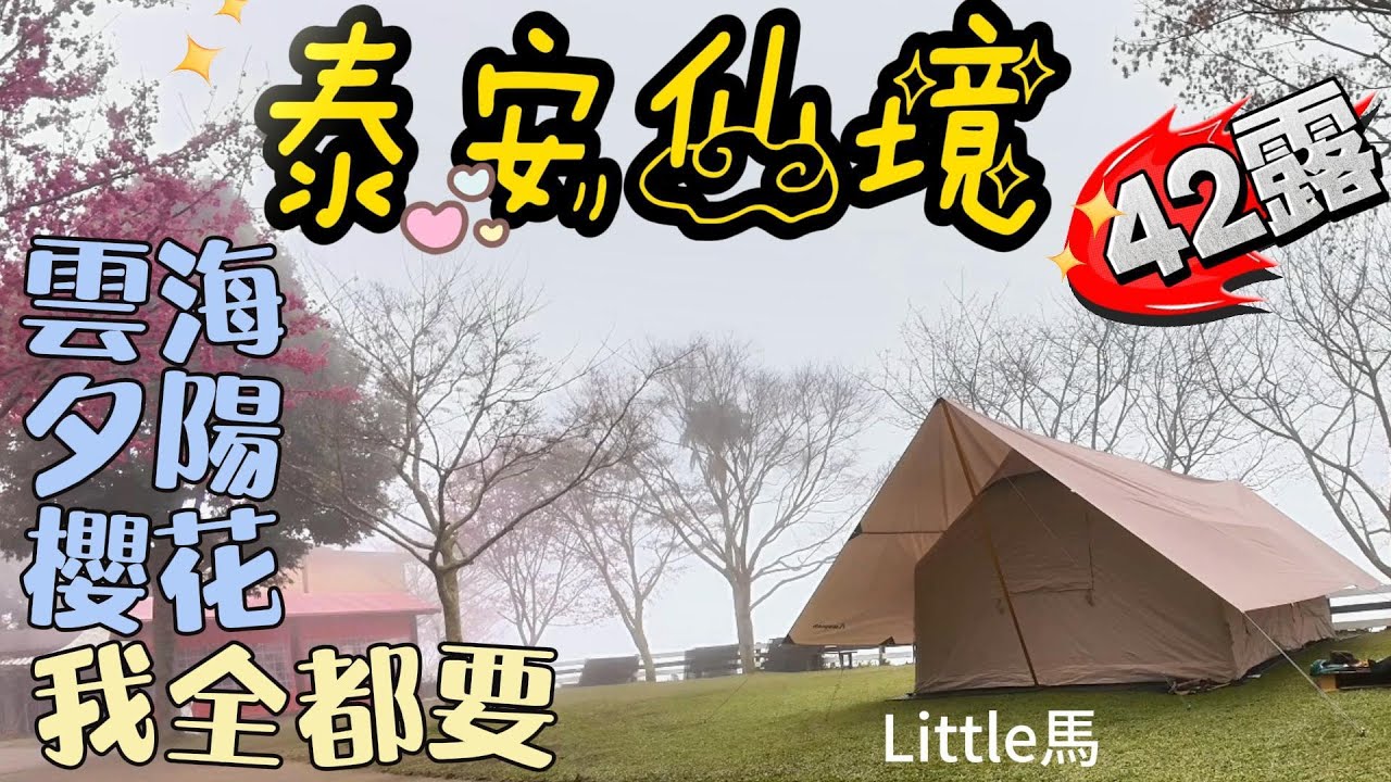 Little 馬｜42露｜苗栗泰安-泰安仙境｜雲海、夕陽、櫻花、五星級衛浴