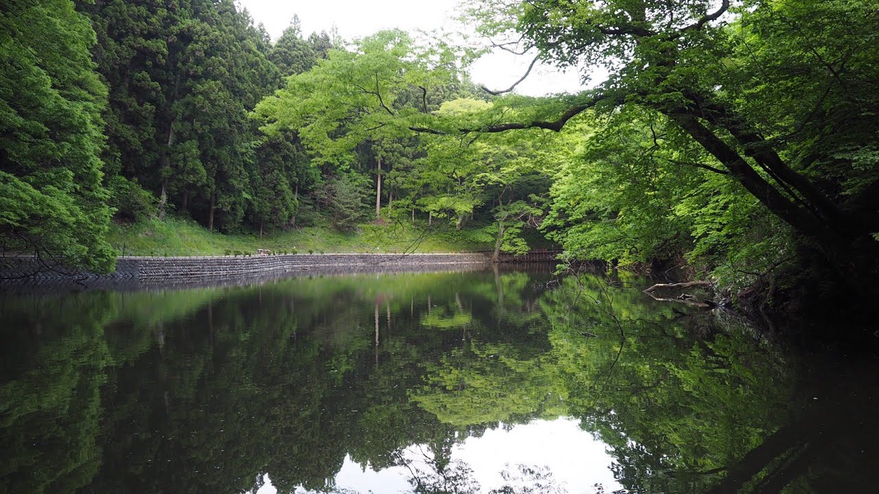 龍神伝説のパワースポット 人面魚の棲む聖域 貝喰池