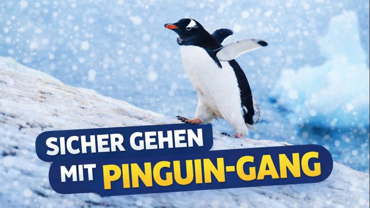 Sicher mit dem Rollator im Winter ❄️ | Sturz vermeiden mit dem Pinguin-Gang