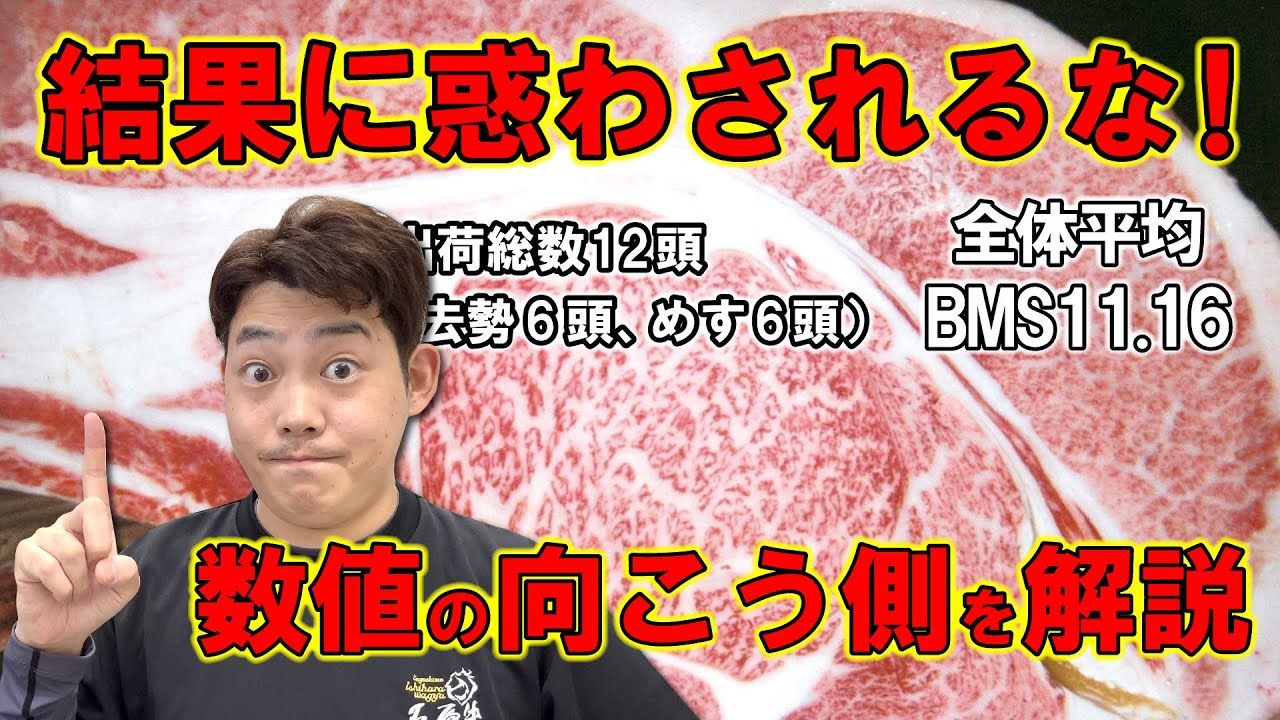 【石原牛】結果数値だけでは表せない枝肉の良さを解説！【黒毛和牛】