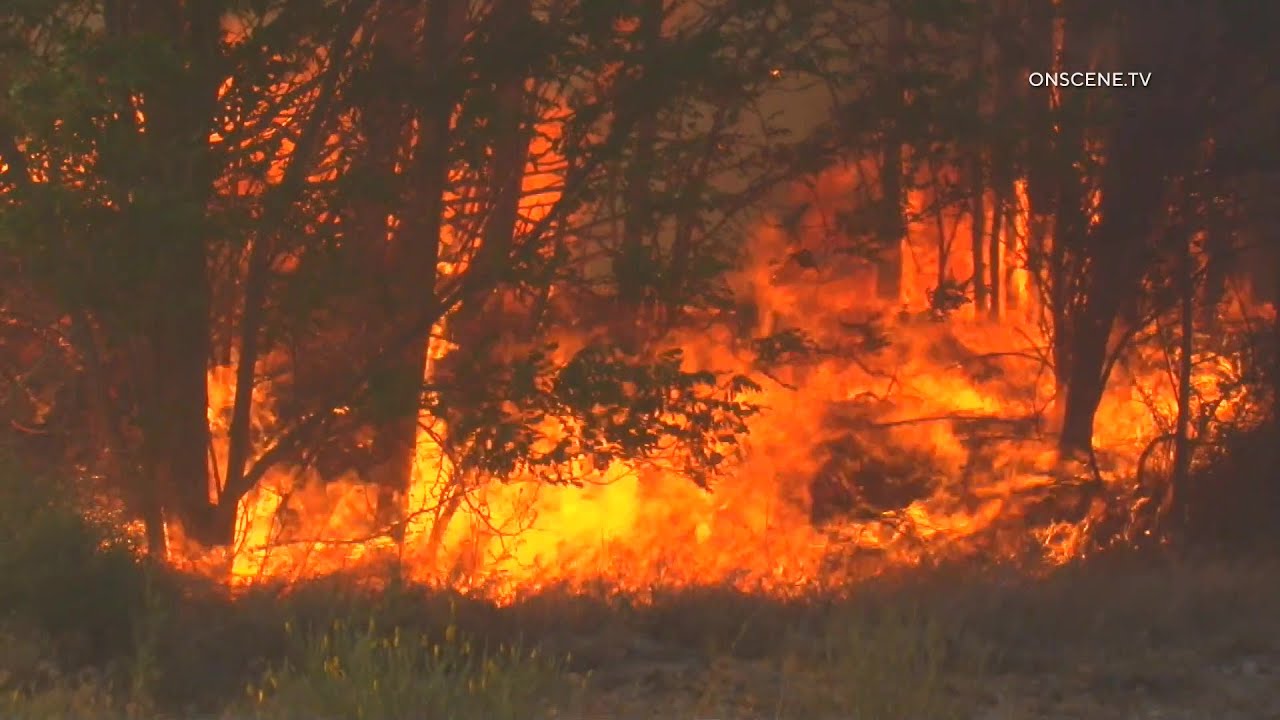 Fast Growing Brush Fire Scorches 95 Acres | Hesperia