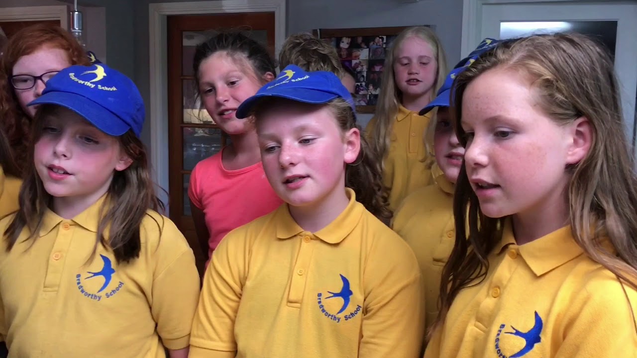 Bradworthy Academy Leaver’s Year 6 2018