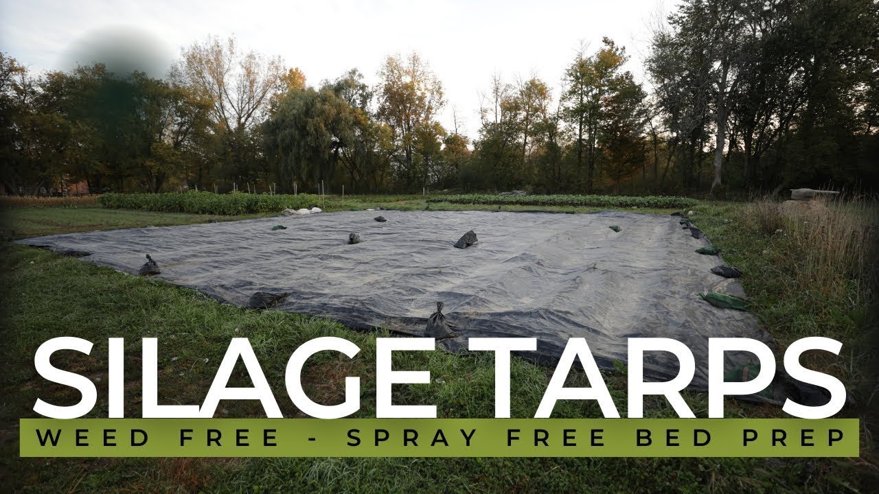 Do Silage Tarps Destroy Microbes, Worms, and Fungi?