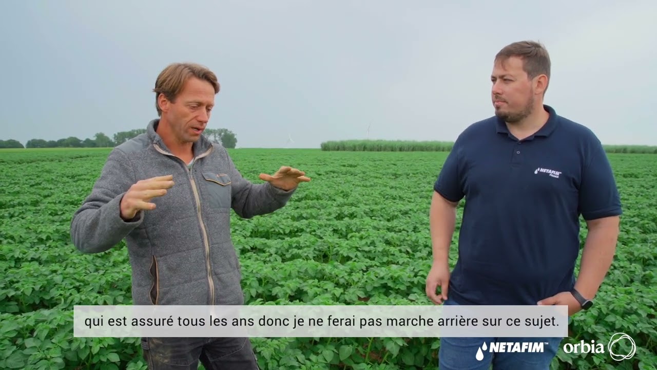 Irrigation de précision - Pomme de terre