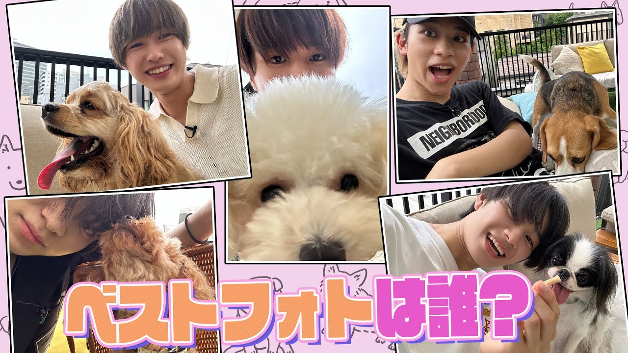 Lil かんさい【ワンちゃんとベストフォト選手権】可愛くてサイコー🐶
