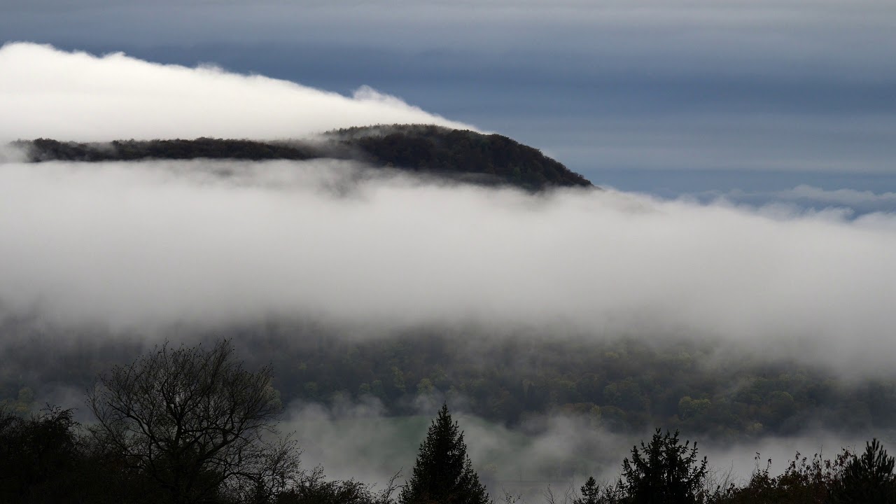 Herbst im Osterwald