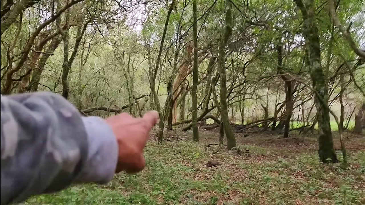 AHÍ ESTA!! CAZANDO EN LOS MONTES. Esto encontramos 🦌