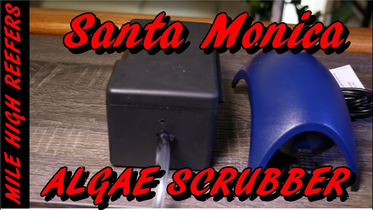 Reducing Water Changes with Santa Monica Drop Algae Scrubber