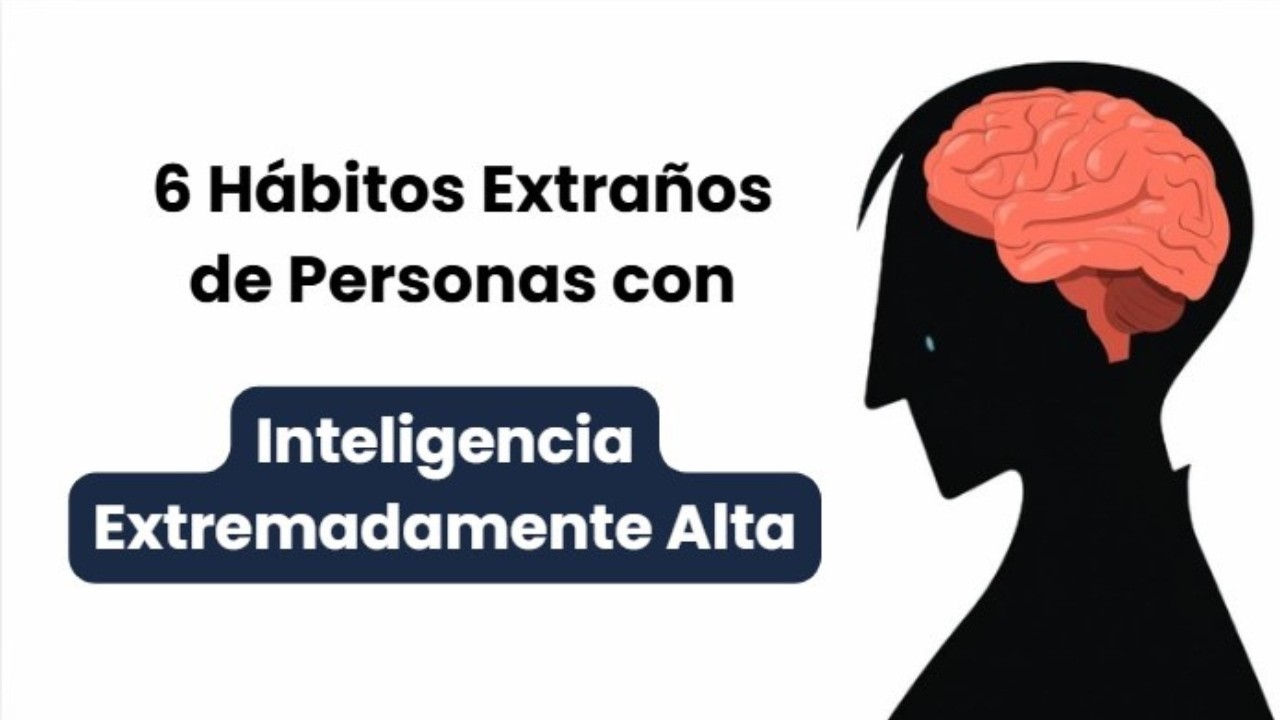 6 Hábitos Extraños Que Revelan un CI Extremadamente Alto