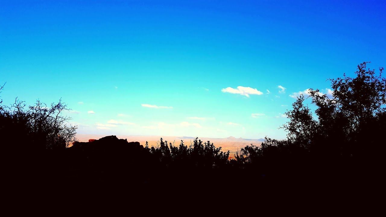 ●ALMA Au printemps🌱 || 2018 ||🌱