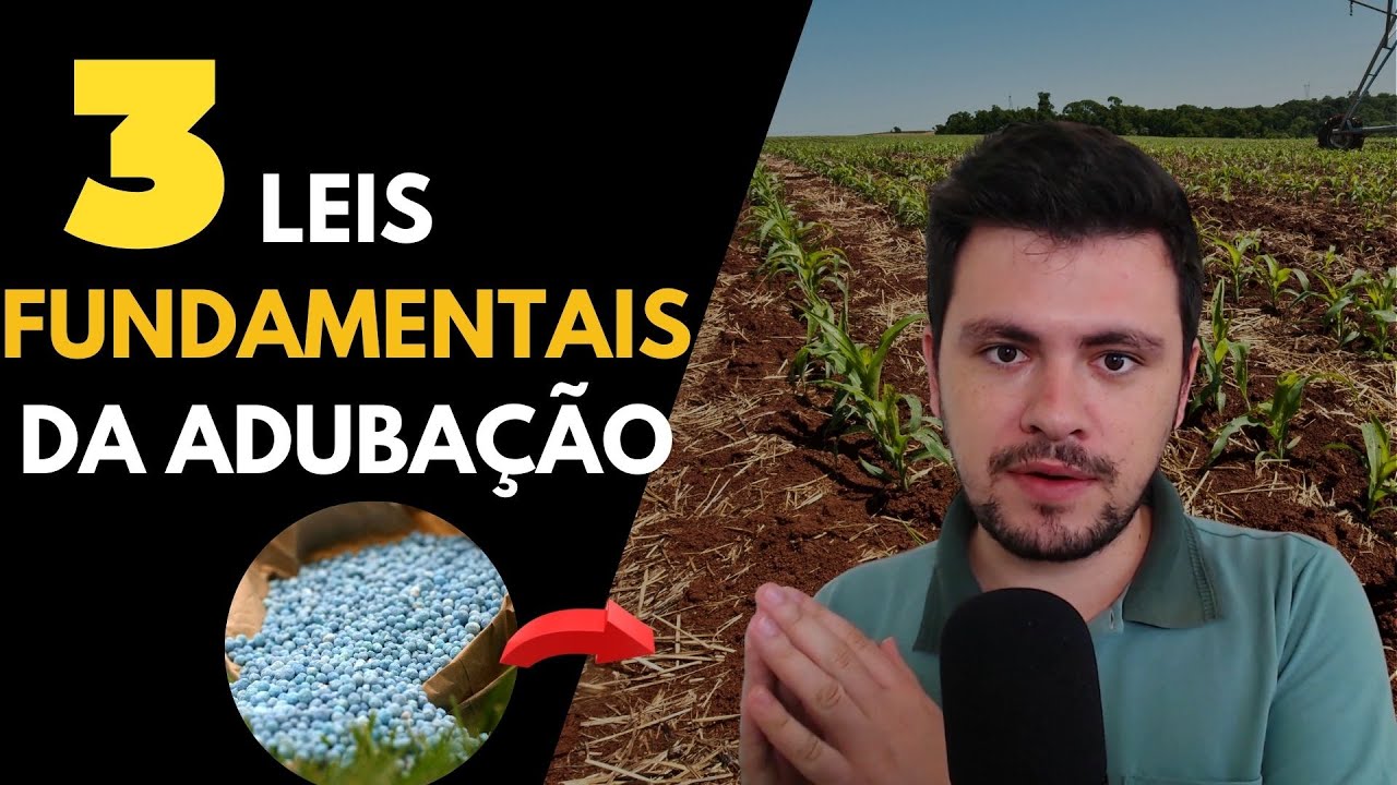 3 Leis Fundamentais da Aduba&ccedil;&atilde;o (PARA N&Atilde;O ESQUECER)