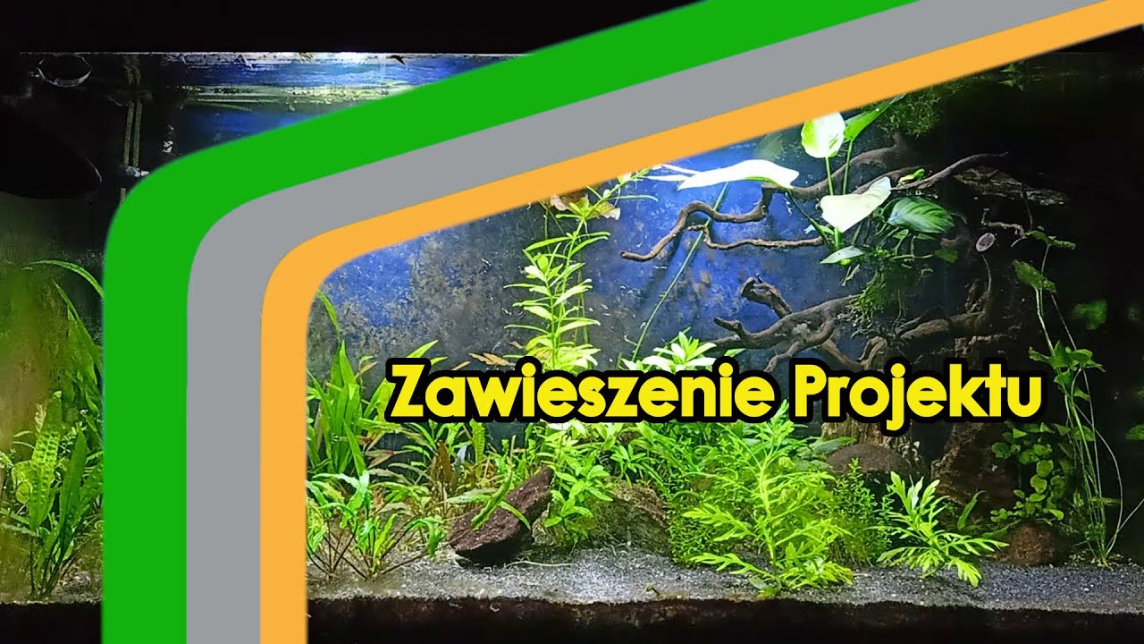Koniec Akwarium 200L?