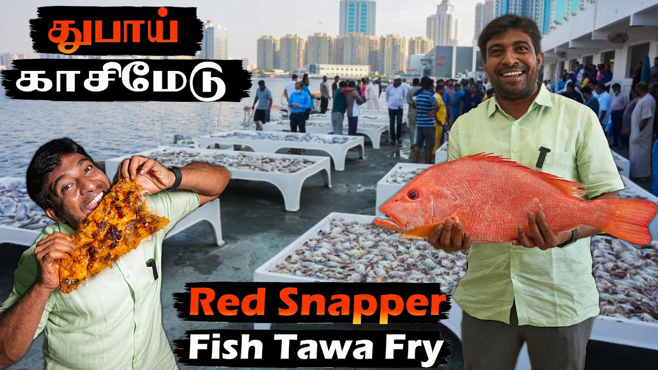 Exploring Ajman Fish Market | Fresh Red Snapper Fish Tawa Fry | Easy Cooking with Jabbar Bhai…