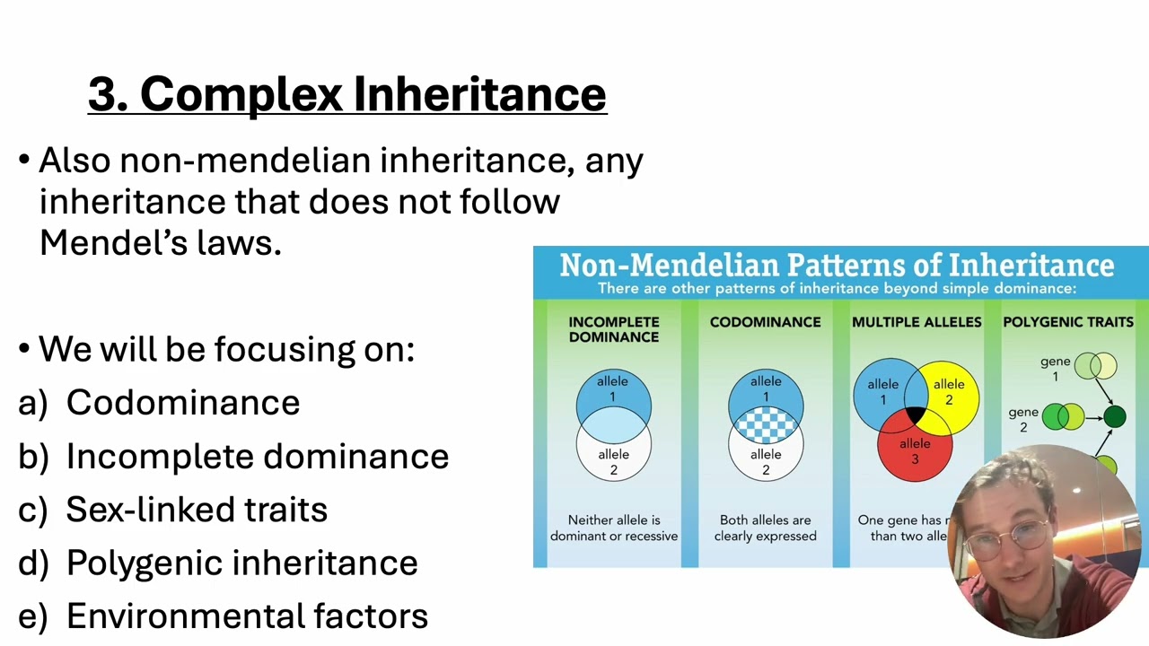 Unit 6 Genetic Inheritance Notes plus Video