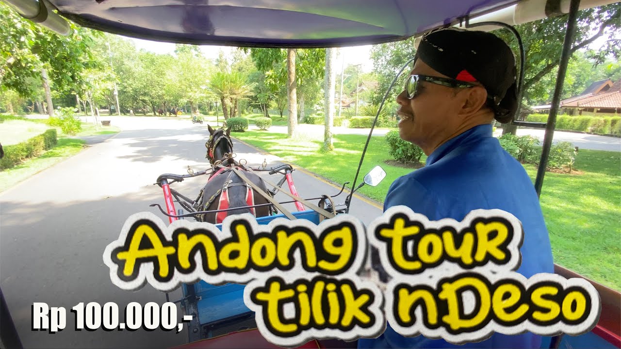 Keliling Kawasan Candi Borobudur dengan Andong, Asyik pak KUSIR jadi Tour Guide #candiborobudur