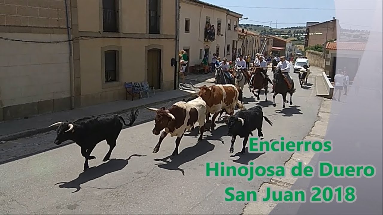 Encierros a caballo Hinojosa de Duero. San Juan 2018