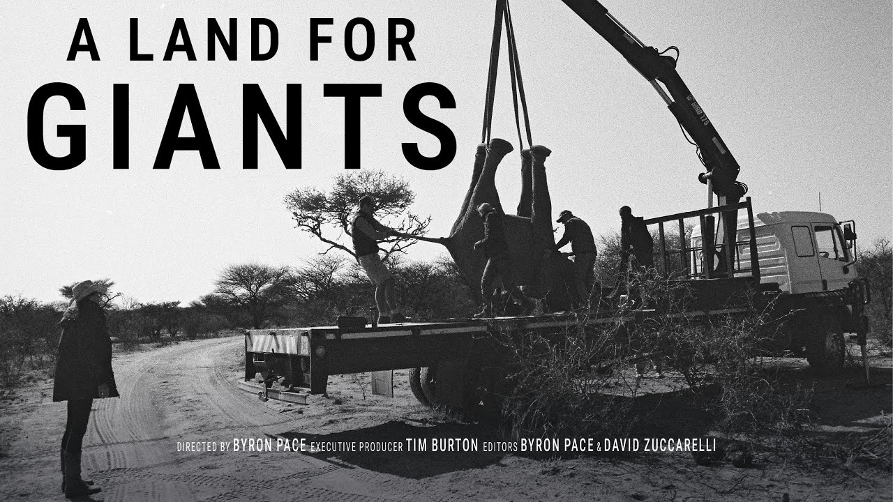 Elephant translocation documentary – 'A Land for Giants' (2025)