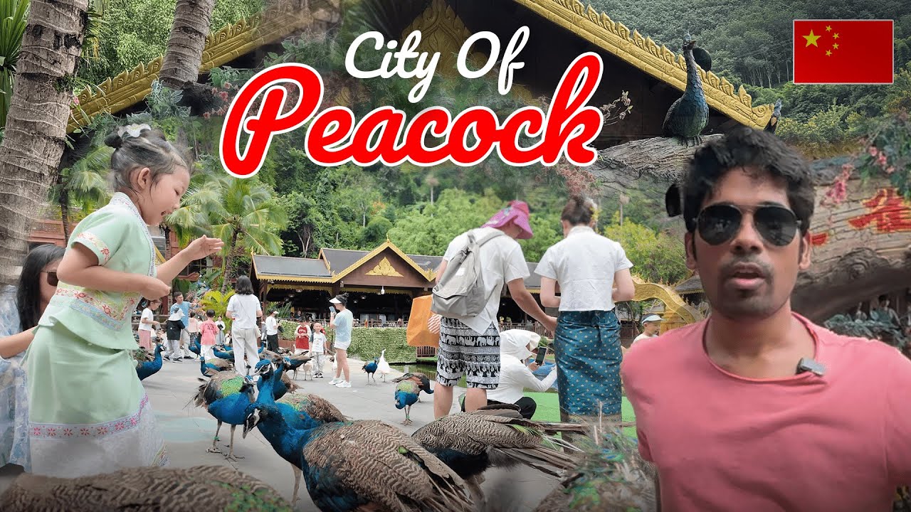 Peacock City of China – A Truly Unique Experience