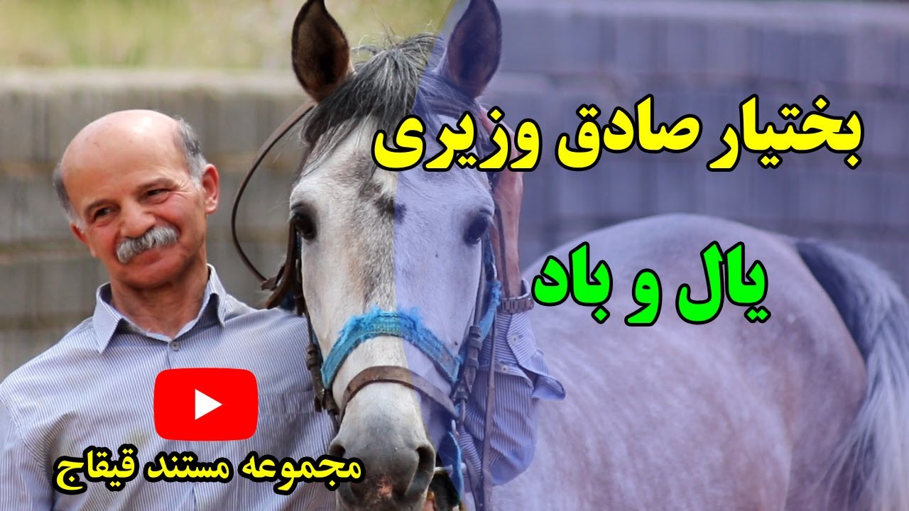 یال و باد ، روایت جناب بختیار صادق وزیری از اسبهای بومی منطقه کردستان ایران.