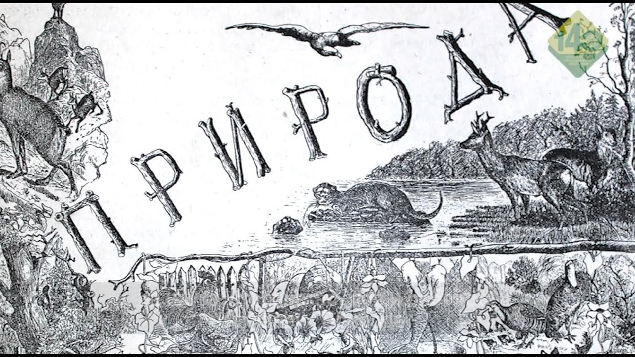 ПЪРВОПРОХОДНИЦИТЕ. Историческо видео за началото на организираното ловно движение в България.