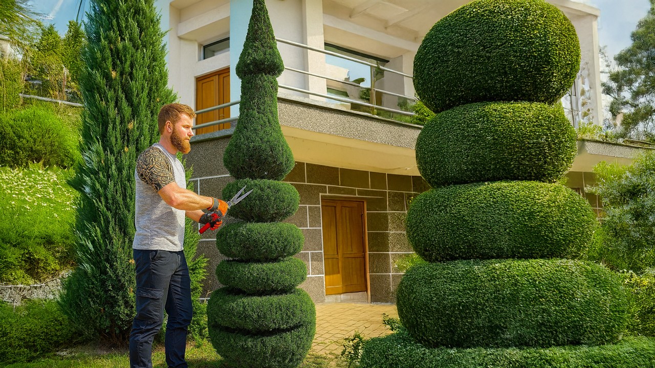 He Cut a Bush… and Made a Perfect Candle!