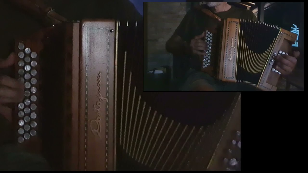 The King of the Fairies (Hornpipe) Accordeon Diatonique