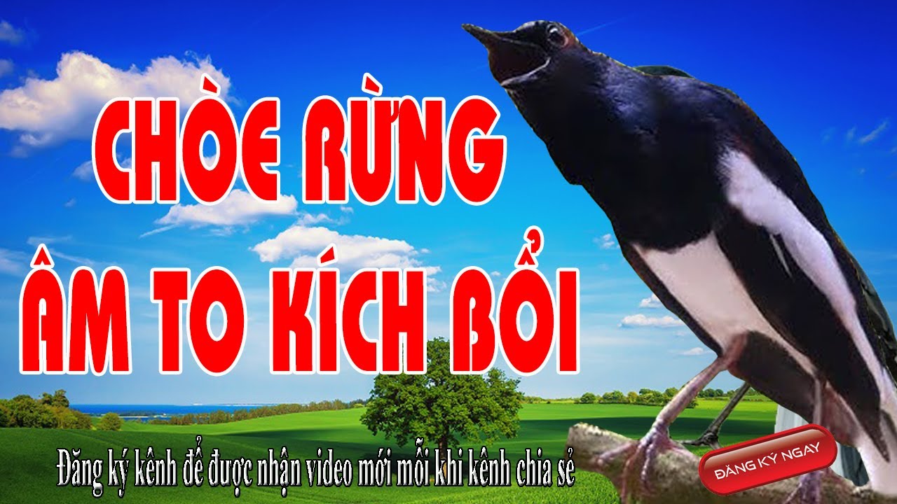 Ch&ograve;e Than H&oacute;t Chuẩn Giọng Rưng l Ch&ograve;e than mộc l luyện giọng ch&ograve;e than l Ch&ograve;e than mộc h&oacute;t