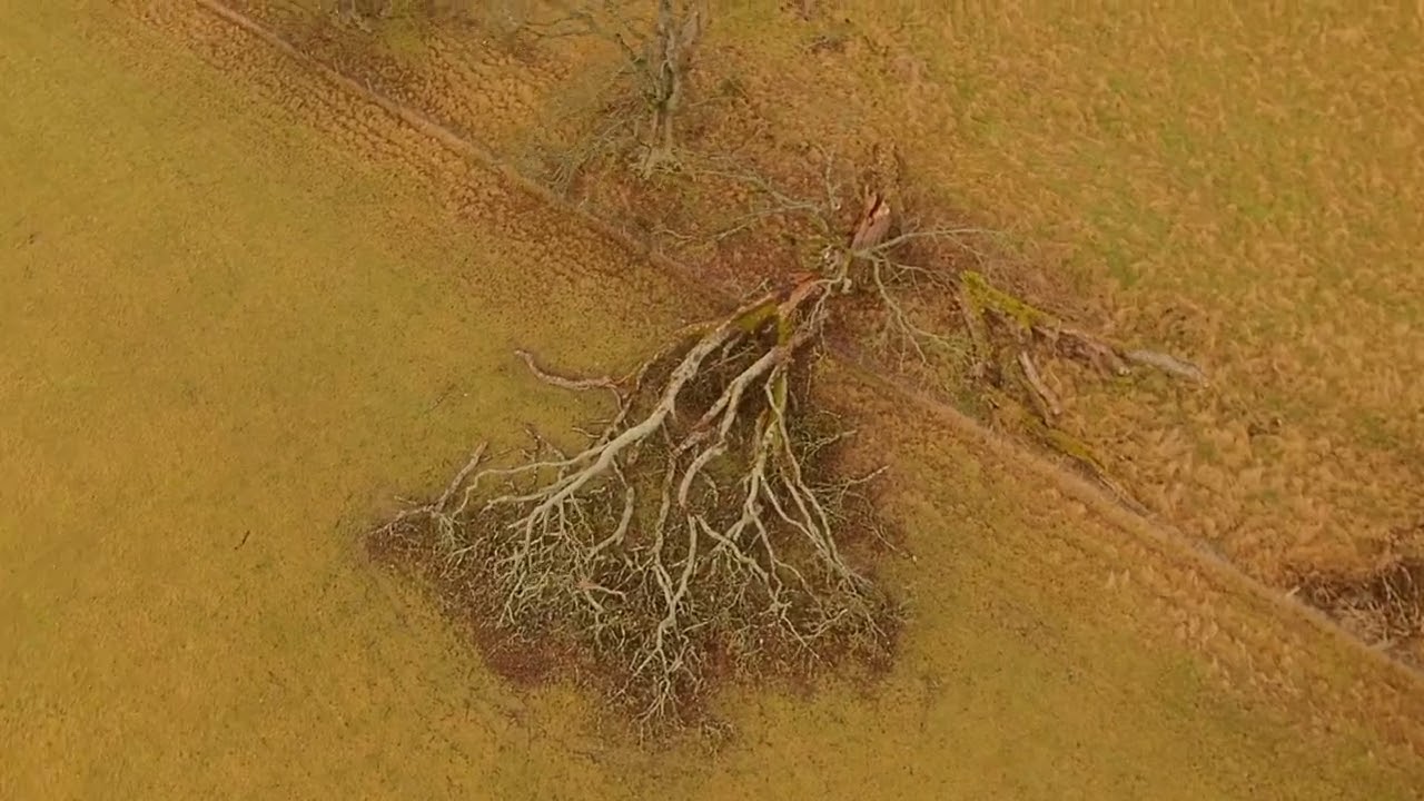 Long Flight High Flying - Finn1 