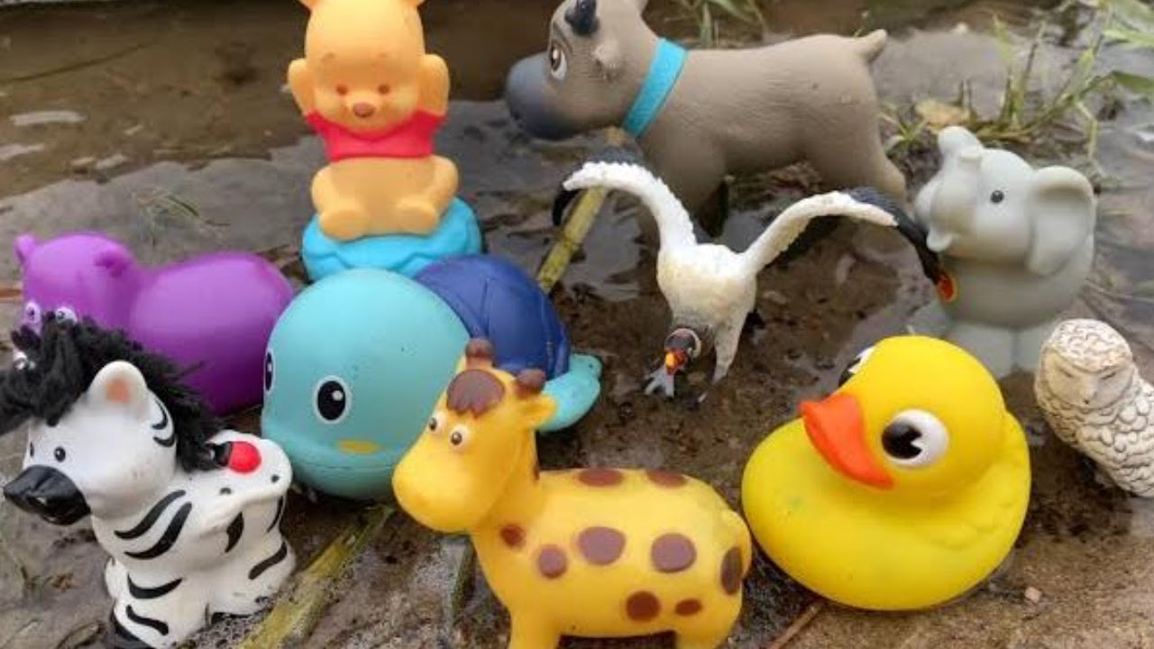 🦒 Learn & Play: Exciting Zoo Animal Facts & Toys for Kids!