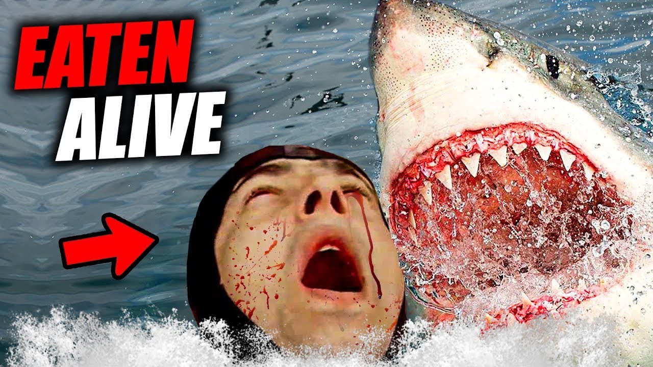 The HORRIFIC Shark Attack on Henri Bource
